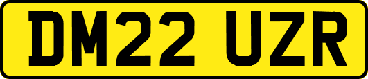 DM22UZR