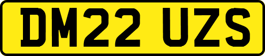 DM22UZS