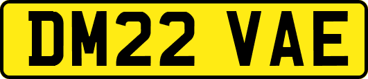 DM22VAE