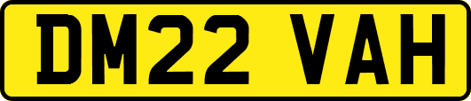 DM22VAH