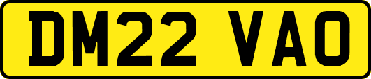 DM22VAO
