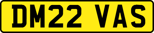 DM22VAS