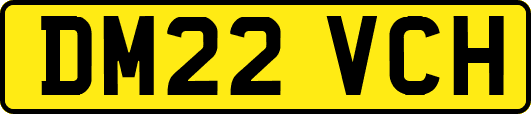 DM22VCH