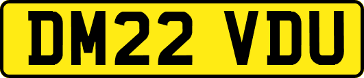 DM22VDU