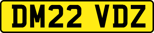 DM22VDZ