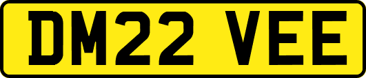 DM22VEE