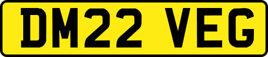 DM22VEG