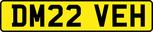DM22VEH