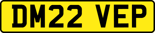 DM22VEP