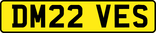 DM22VES