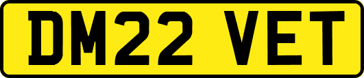 DM22VET
