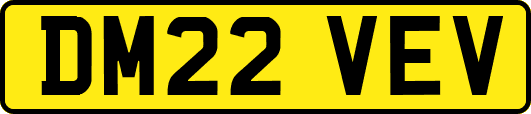DM22VEV