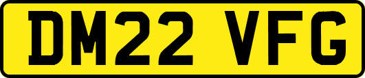 DM22VFG