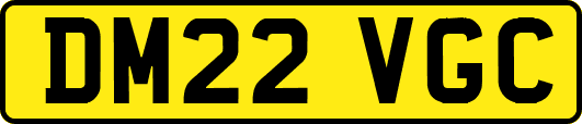DM22VGC