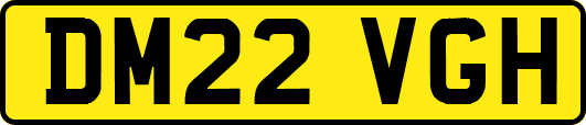 DM22VGH