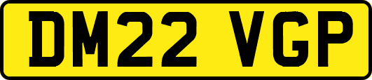 DM22VGP