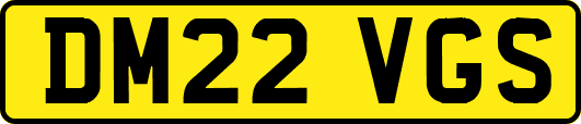 DM22VGS