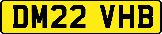 DM22VHB