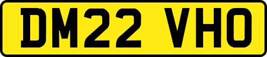 DM22VHO