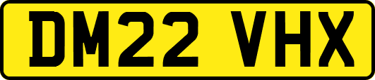 DM22VHX