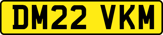 DM22VKM