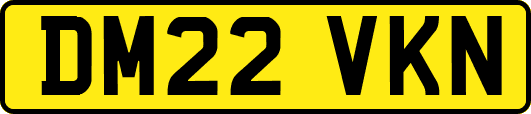 DM22VKN