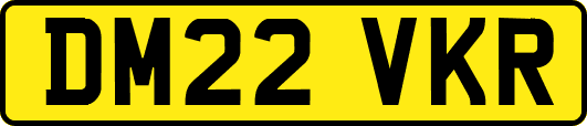 DM22VKR