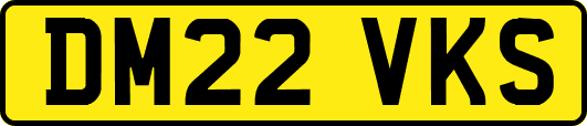DM22VKS