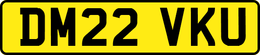 DM22VKU