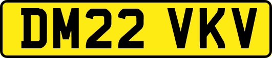 DM22VKV