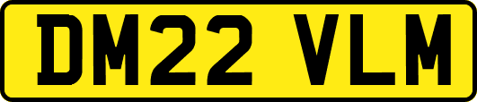 DM22VLM