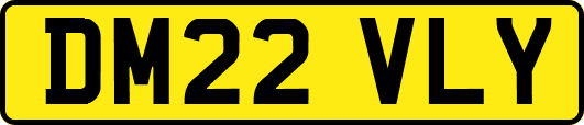 DM22VLY