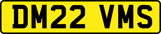 DM22VMS