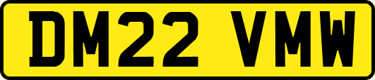DM22VMW