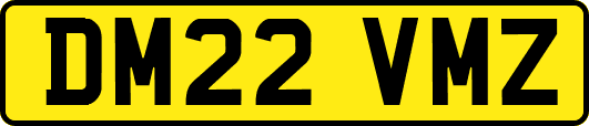 DM22VMZ