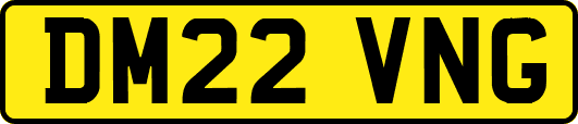 DM22VNG