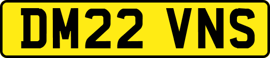 DM22VNS