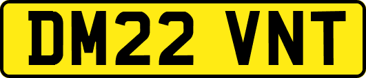 DM22VNT