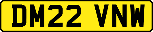 DM22VNW