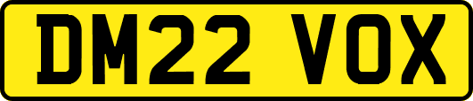 DM22VOX
