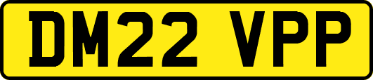 DM22VPP