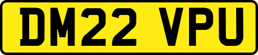 DM22VPU
