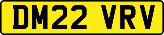 DM22VRV