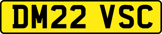 DM22VSC
