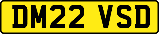 DM22VSD
