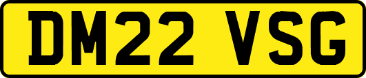 DM22VSG