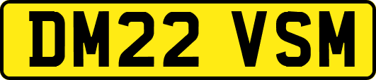 DM22VSM