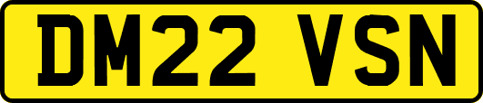 DM22VSN