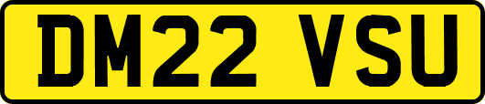 DM22VSU