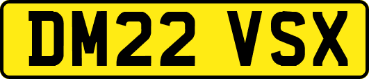 DM22VSX